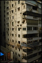 l1000377